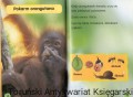 mlody orangutan OLESIEJUK2.jpg