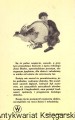 usmiechniety aniol WYD SALEZJAŃSKIE1.jpg