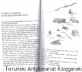 usmiechniety aniol WYD SALEZJAŃSKIE2.jpg