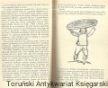 nowa ziemia KiW2.jpg