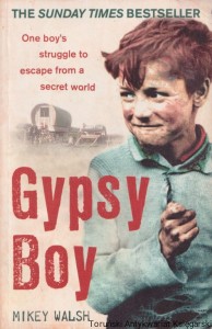 Gypsy Boy / Mikey Walsh
