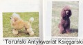 pudle hobby EGROSS3.jpg
