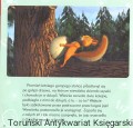 podrzutek EGMONT2.jpg
