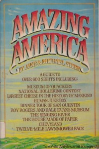 Amazing America / Jane & Michael Stern