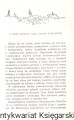 ogien strzezony LSW2.jpg
