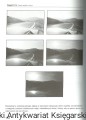 fotografie dla zoltodziobow REBIS5.jpg