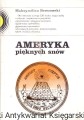 ameryka pieknych snow KiW.jpg