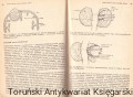 pielegniarstwo w neuro PZWL4.jpg