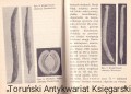 fasola PWRiL2.jpg