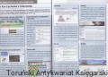komputer dla seniora AXEL SPRINGER3.jpg