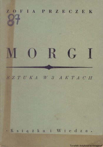 morgi KiW.jpg