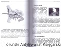 naturalna terapia BRAK5.jpg