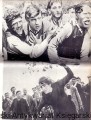 grek zorba KiW3.jpg