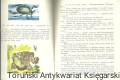 ks po ros 33 YAGR3.jpg