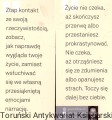 napraw sie INSIGNIS2.jpg