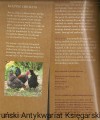 keepimg chickens D&C2.jpg