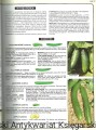 the vegetable ZAGR2.jpg