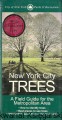 new york city ZAGR.jpg