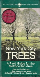 New York City Trees / Edward Sibley Barnard 