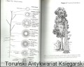 trees ZAGR3.jpg