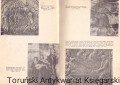 w krainie muzyki PZWSZ2.jpg