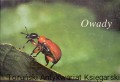 owady BRAK.jpg