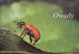 Owady / Brak autora