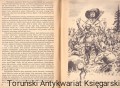 czarny mustang KAW2.jpg