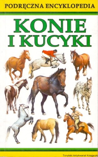 konie SCRIBA.jpg