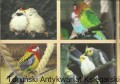 przewodnik po zoo BRAK2.jpg