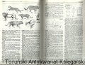 longman dic PWN2.jpg