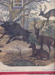 Przekrój Nr 1492 11 listopada 1973 roku
