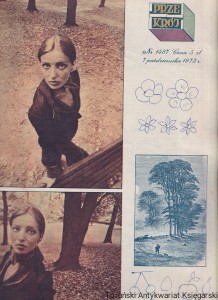 Przekrój : Nr 1487 7 października 1973 roku