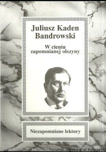 W cieniu zapomnianej olszyny / Juliusz Kaden Bandrowski