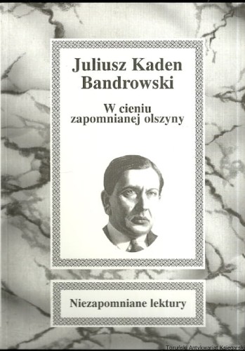w cieniu zapomnianej SŁOWO.jpg