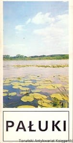 Pałuki / Jerzy Sobczak 
