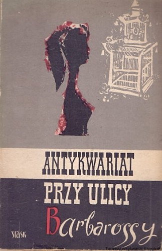 antykwariat przy ulicy ŚLĄSK.jpg