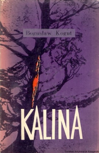 kalina WYD POZN.jpg
