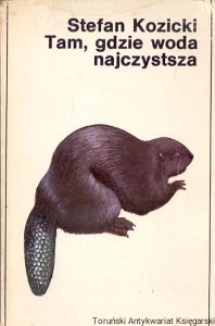Tam, gdzie woda najczystsza / Stefan Kozicki 