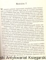 wielki gracz AMBER2.jpg