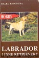 labrador EGROS.jpg