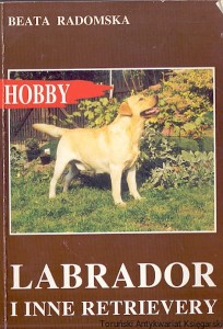 Labrador i inne Retrievery / Beata Radomska 