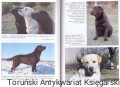 labrador EGROS3.jpg