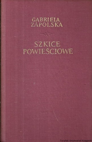 szkice powiesciowe WYD LIT.jpg