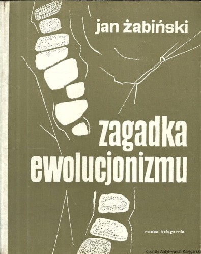 zagadka ewo NK.jpg