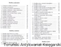 obraz szczescia SALVATOERIS MATER4.jpg