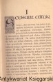 chrobry LSW1.jpg
