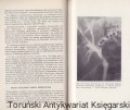 zoltaczki PZWL4.jpg