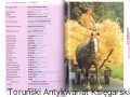 langenscheidts sprach polo 5.jpg