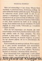 ten stary dom ARLEKIN2.jpg